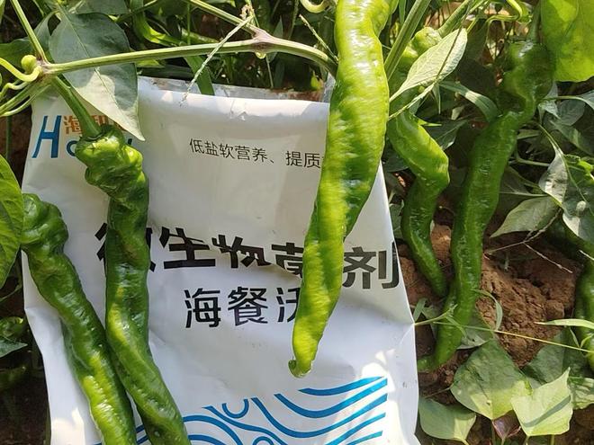 好不好看这几个关键点球王会网页版水溶肥(图3)