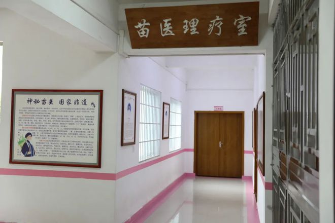 医（苗医）戒毒工作框架探索戒毒康复辅助治疗新路径球王会平台经验聚焦 省黔东所搭建“1+2+3”中(图6)